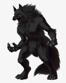 Werewolf Png Transparent Image, Png Download, Transparent PNG