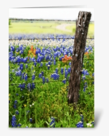 Memories Of Spring Greeting Card, HD Png Download, Transparent PNG