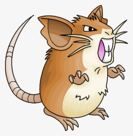 Raticate Png, Transparent Png, Transparent PNG