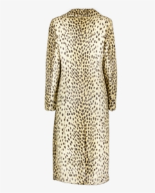 B Coat Cheetah Back Front 1200x800fixed-png Copy, Transparent Png, Transparent PNG