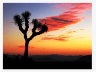 Desert Home With View By Joshua Tree National Park, HD Png Download, Transparent PNG