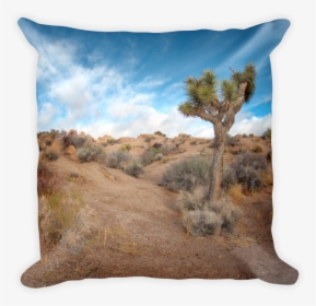 Image Of Joshua Tree, Ca, HD Png Download, Transparent PNG