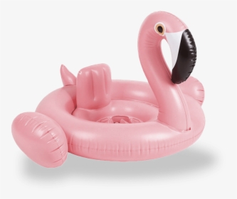 Floatie Png, Transparent Png, Transparent PNG