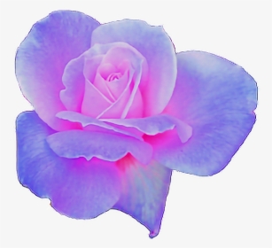 Clipart Flowers Aesthetic, HD Png Download, Transparent PNG