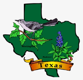 Texas State Symbols Clip Art, HD Png Download, Transparent PNG
