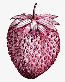 Tattoo Vintage Ice Strawberry Fruit Drawing Cream Clipart, HD Png Download, Transparent PNG