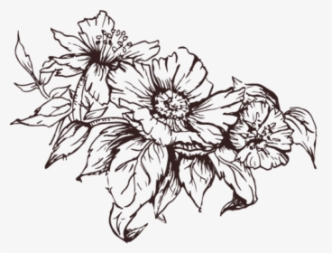 Arrangement-divider, HD Png Download, Transparent PNG