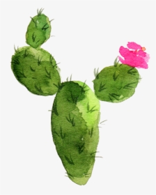 Cactus Watercolor Png, Transparent Png, Transparent PNG