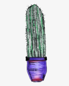 Cactuswatercolor Square, HD Png Download, Transparent PNG