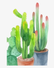 #ftestickers #watercolor #cactus #cacti #potted, HD Png Download, Transparent PNG