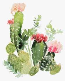 Transparent Watercolor Cactus Png - Watercolor Cactus Clipart Free, Png ...