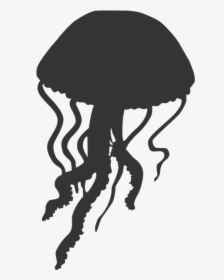 Jellyfish Clipart Seahorse, HD Png Download, Transparent PNG