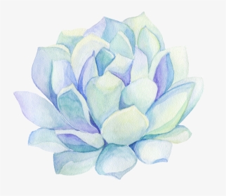 Freetoedit Ftestickers Watercolor Cactus Flower Decorat, HD Png Download, Transparent PNG