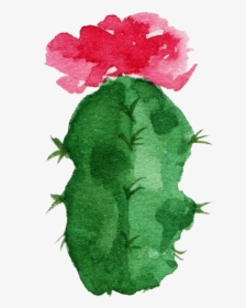 Paper Cactaceae Watercolor Painting Succulent Plant, HD Png Download, Transparent PNG