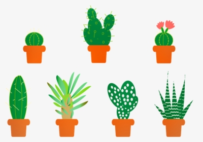 Cactus, Aloe Vera, Saguro, Aloe, Vera, Botany, Agave, HD Png Download, Transparent PNG