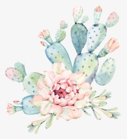 #watercolor #cactus #flower, HD Png Download, Transparent PNG