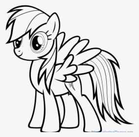 Rainbow Dash Photo Drawing, HD Png Download, Transparent PNG