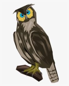 Owl,eagle,wing, HD Png Download, Transparent PNG