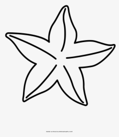 Coloring Book Drawing Starfish, HD Png Download, Transparent PNG
