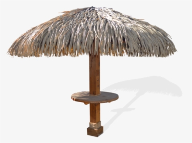 Palmas Png, Transparent Png, Transparent PNG