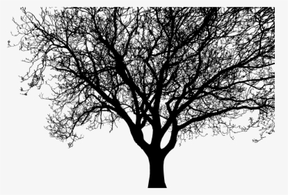Detailed Tree Silhouette Clip Arts, HD Png Download, Transparent PNG