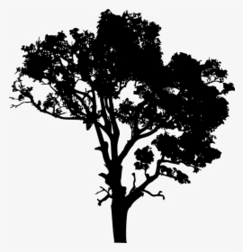 Download Free Png Tree Silhouette, Transparent Png, Transparent PNG