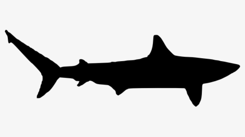 White Shark Silhouette At Getdrawings, HD Png Download, Transparent PNG