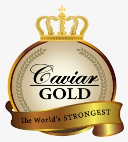 Caviar Gold Apparel Caviar Gold Apparel, HD Png Download, Transparent PNG