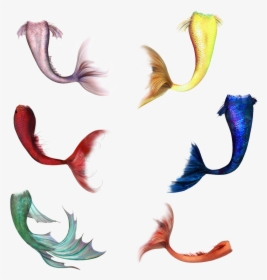 Red Mermaid Tail Png Clipart , Png Download, Transparent Png, Transparent PNG