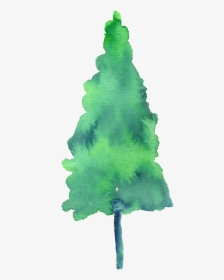Painted Watercolor Pine Tree Decoration Vector, HD Png Download, Transparent PNG