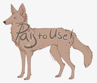 Black Backed Jackal, HD Png Download, Transparent PNG