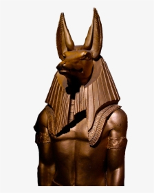 Jackal Png, Transparent Png, Transparent PNG