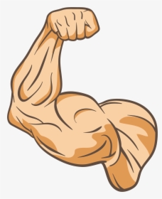 Muscle Physical Fitness Thumb, HD Png Download, Transparent PNG