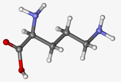 Ornithine Ball And Stick, HD Png Download, Transparent PNG