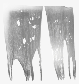 #curtains #creepy #ripped #halloween #freetoedit, HD Png Download, Transparent PNG