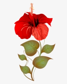 Hibiscus Plant Clipart, HD Png Download, Transparent PNG