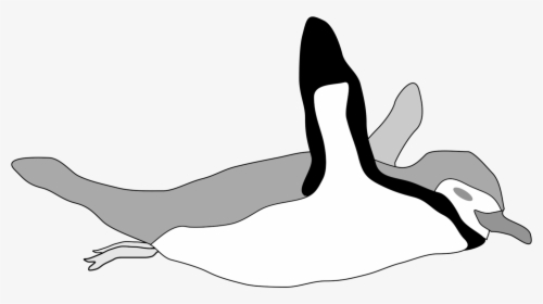 Photography, HD Png Download, Transparent PNG