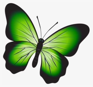 Butterfly Colorful Green Free Photo, HD Png Download, Transparent PNG