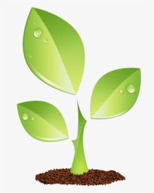 Green Plant Vector Png, Transparent Png, Transparent PNG