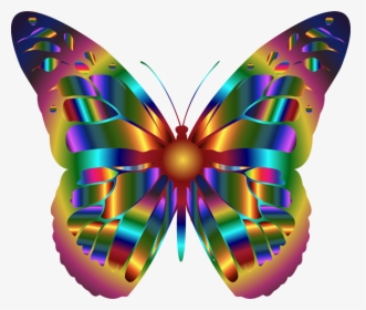 Monarch Butterfly Insect Swallowtail Butterfly Rainbow, HD Png Download, Transparent PNG