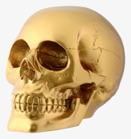 Gold Skull Png, Transparent Png, Transparent PNG