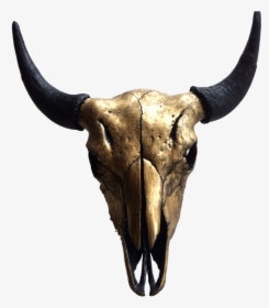 Gold Bison Skull, HD Png Download, Transparent PNG