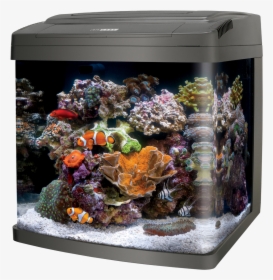 Coralife Biocube 29   Class Lazyload Lazyload Mirage, HD Png Download, Transparent PNG