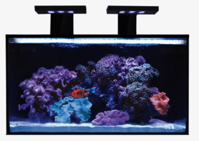 Rimless Aquarium Nuvo Fusion 20 Nano All In One Aquarium, HD Png Download, Transparent PNG