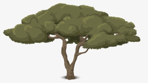 Tree, Art, Artwork, Trunk, Cartoon, Nature, Leaves, HD Png Download, Transparent PNG