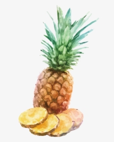 Fresh Pineapple Slices, HD Png Download, Transparent PNG