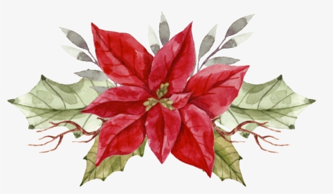 Painted A Christmas Flower Png Transparent, Png Download, Transparent PNG