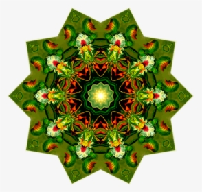 Plant,christmas Ornament,flower, HD Png Download, Transparent PNG