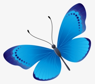 Бабочка, Насекомое, Butterfly, Insect, Schmetterling,, HD Png Download, Transparent PNG