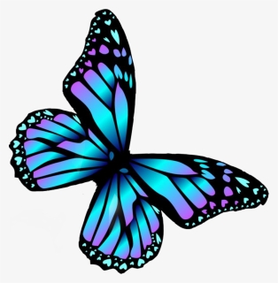 #borboleta #burterfly #árcoíris #arcoiris #arco Iris, HD Png Download, Transparent PNG